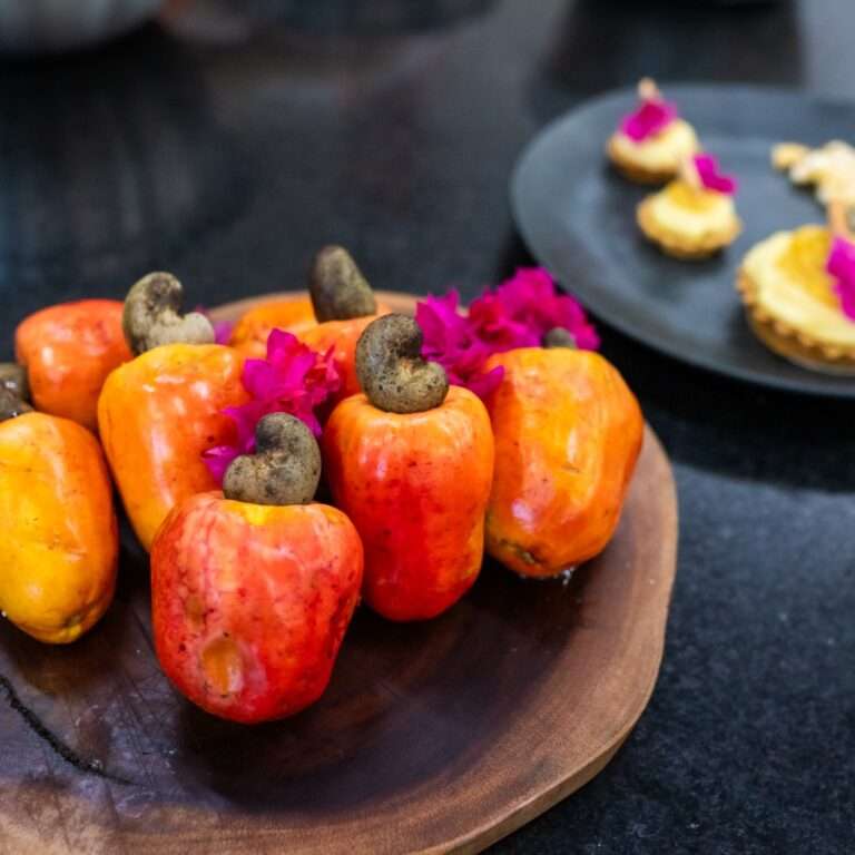 Desvendando a cultura alimentar: Escola de Gastronomia Social realiza formação sobre metodologias de pesquisa