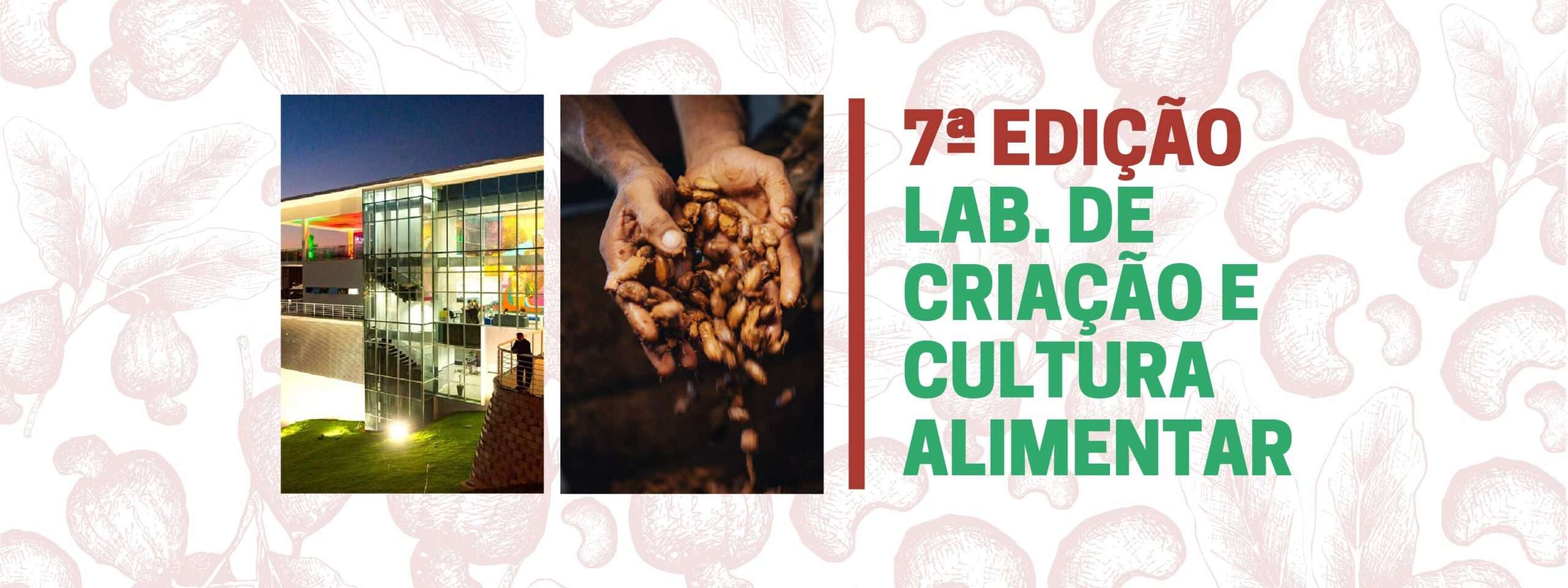 7 EDICAO@2x 20 scaled