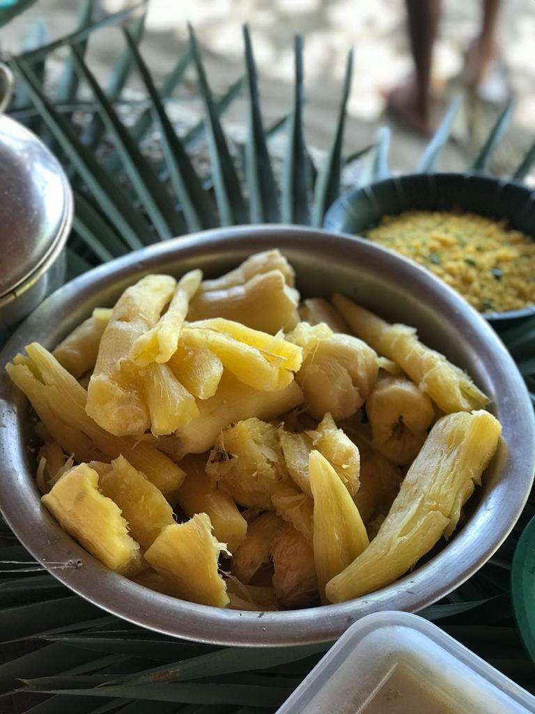 WhatsApp Image 2023 04 19 at 10.06.01 3