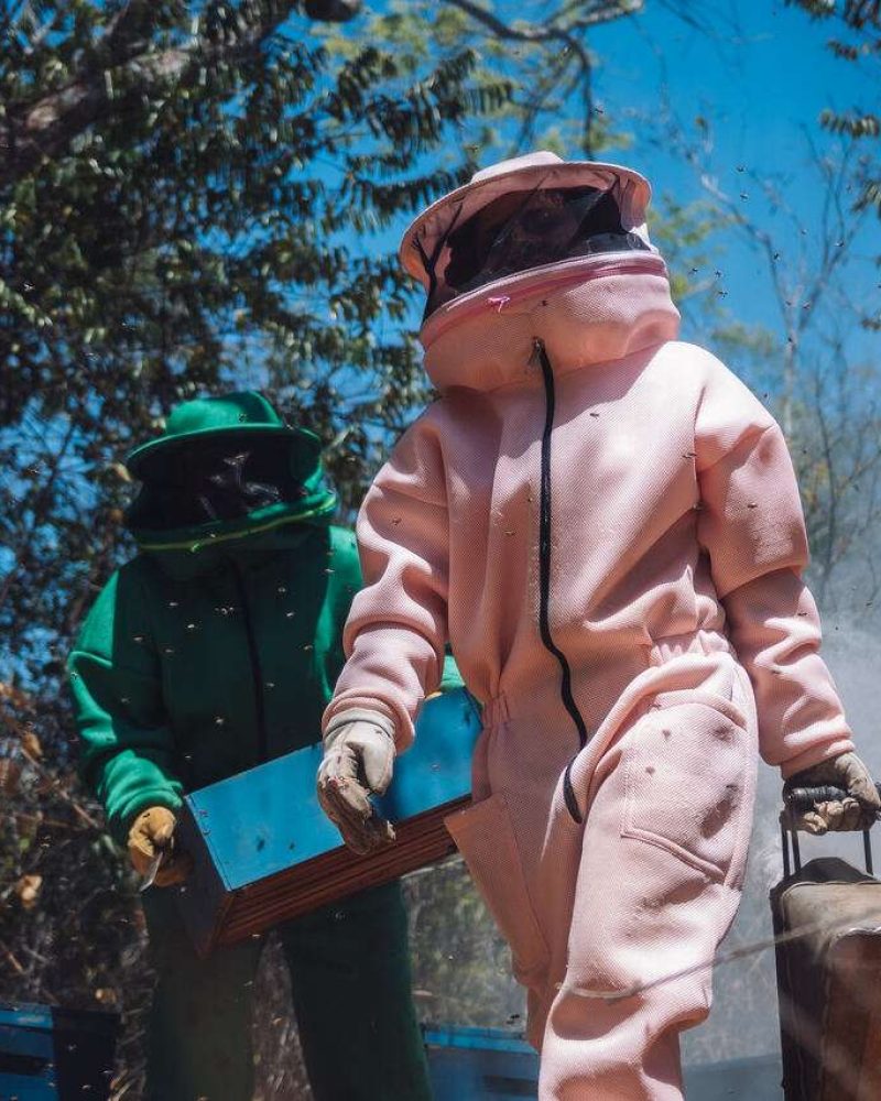 Cópia de Cópia de bmel-4_Easy-Resize.com